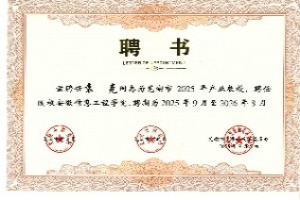 安徽信息工程學院產業教授
